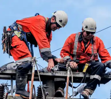 Network Tasman Developer